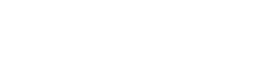 IQ Brain Site Logo